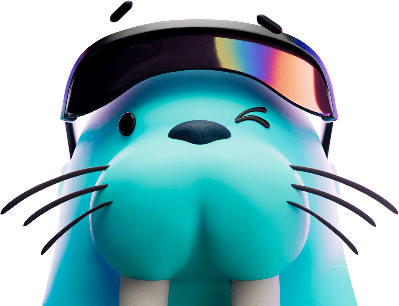 walrus