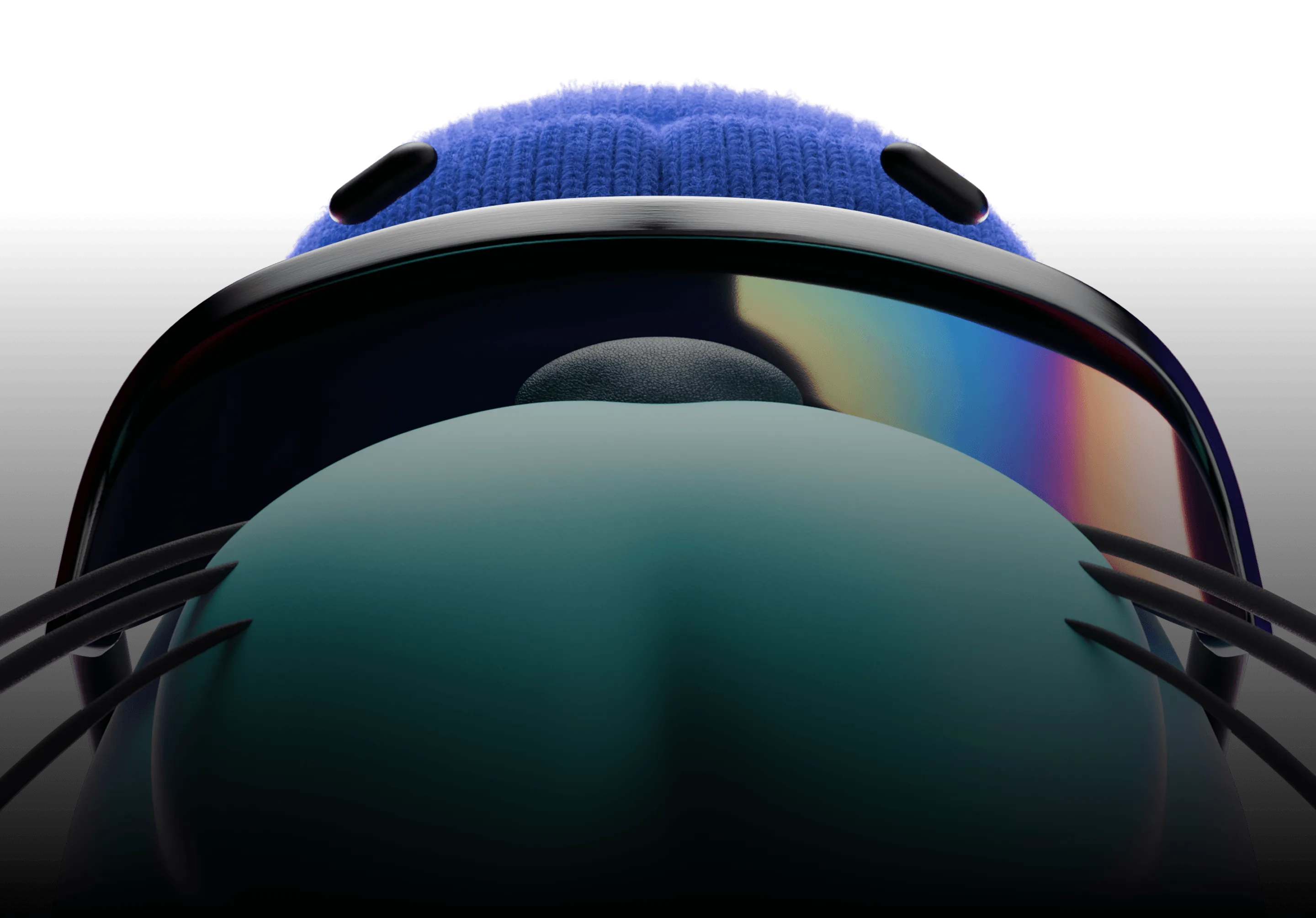 Walrus Newsletter