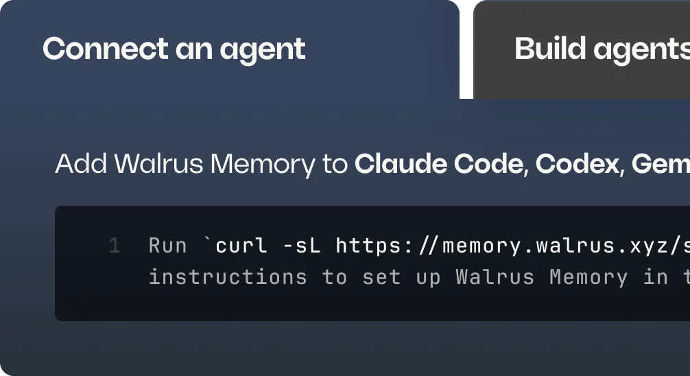 Walrus Memory interface