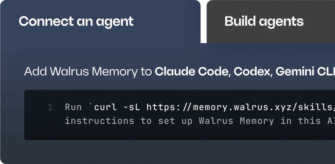 Walrus Memory interface